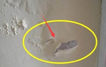 Tường nhà mốc lở, bong tróc, xử lí vô cùng đơn giản như sau!