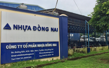 Nhựa Đồng Nai (DNP): Quy mô tăng trưởng thần tốc nhờ M&A nhưng lợi nhuận chỉ như muối bỏ bể, cổ phiếu tăng gần 50% trong tuần qua