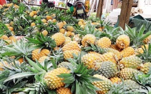 Loại quả rẻ như bèo, bán rong khắp nơi: Giúp quét sạch mỡ máu, bổ thận, hỗ trợ tiêu hóa