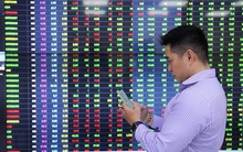 Nhà đầu tư cá nhân đã chi hơn 11.000 tỷ đồng mua ròng cổ phiếu trong suốt 4 tuần qua