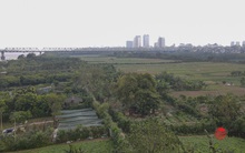 Hà Nội: Toàn cảnh bãi giữa sông Hồng nên thơ được đề xuất cải tạo thành công viên văn hóa