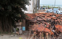 Hà Nội: Người dân rơi nước mắt khi cây đa cổ thụ ở ngôi đình 2.000 năm bị chặt hạ