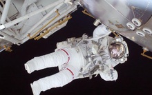 Rau diếp giúp phi hành gia cải thiện sức khoẻ trong sứ mệnh dài ngày trên sao Hoả