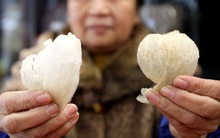 Thực phẩm cao cấp bồi bổ sức khỏe hậu Covid-19: Thật, giả tràn lan, người dân cần tỉnh táo