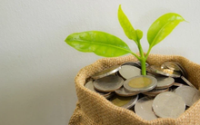 Điểm danh những doanh nghiệp chốt quyền nhận cổ tức bằng tiền, bằng cổ phiếu và cổ phiếu thưởng tuần từ 28/3 đến 1/4/2022