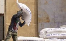 Khủng hoảng phân bón sắp trở thành khủng hoảng lương thực tại châu Âu