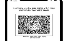 Bộ Y tế dự kiến cấp hộ chiếu vaccine từ tuần này