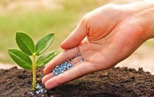 Giá phân lập kỷ lục, LAS đặt mục tiêu lợi nhuận tăng mạnh trong năm 2022