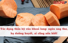 Nghiên cứu của Nhật Bản: Loại củ được mệnh danh là “vua chống ung thư”, giúp hạ đường huyết, giá trị dinh dưỡng vô cùng cao, rất quen thuộc với các gia đình người Việt!