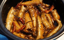 Loại cá có công dụng trị ho đủ kiểu, vừa bồi bổ cơ thể vừa tăng cường collagen nhưng người Việt giờ ít ăn