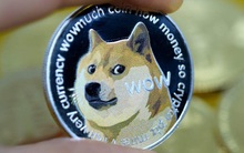 Phó thủ tướng Ukraine: "Chúng tôi nhận cả Dogecoin, Elon Musk hãy hành động"