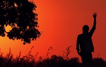 Cổ phiếu doanh nghiệp khoáng sản có thể bị huỷ niêm yết bắt buộc bất chấp thị giá vừa lập đỉnh lịch sử, lợi nhuận 2021 tăng gấp 7 lần cùng kỳ