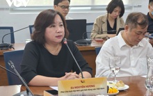 Buông lỏng hoạt động môi giới bất động sản gây hệ lụy xấu với thị trường