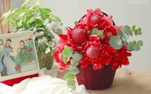 Sen nhưng không sống trong nước - loại hoa mới lạ siêu hút khách, muốn mua phải đặt trước cả tuần