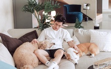 Chủ nhân căn penthouse 8 tỷ đồng, rộng 246m2 "khai sạch" bí kíp mua nhà: Tận dụng sức mạnh của thẻ tín dụng và... công nợ?