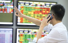 Mirae Asset: Thị trường chứng khoán đang phản ánh tâm lý thận trọng của nhà đầu tư, hai nhóm ngành có thể đạt tăng trưởng EPS "bằng lần" trong năm 2022