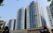 Năm Bảy Bảy (NBB) thông qua phương án bán cổ phiếu quỹ trong năm 2022