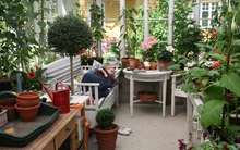 Khu vườn "ngắm là yêu" của người phụ nữ bắt đầu làm vườn từ năm 10 tuổi