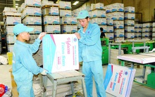 Viglacera Tiên Sơn (VIT): Năm 2022 đặt mục tiêu lợi nhuận 60 tỷ đồng, dự kiến quý 1 lỗ 11 tỷ đồng