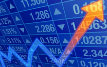 Phó Tổng của Phát triển Đa quốc gia I.D.I tiếp tục đăng ký mua thêm 2 triệu cổ phiếu IDI