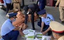 Xe khách chở 6.000 kit test Covid-19 nhập lậu "tung tăng" trên đường