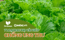 Bệnh viện K khuyến cáo: 7 loại rau họ CẢI được ví như "kháng sinh thiên nhiên" giúp chống lại các khối u ác tính, ngăn ngừa ung thư hiệu quả