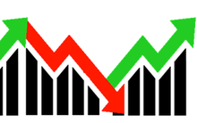 Everest Securities: Phân bón và thủy sản là những nhóm ngành triển vọng