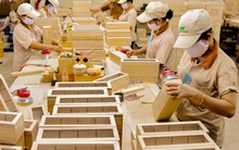 Doanh nghiệp thu hẹp sản xuất vì thiếu nguyên liệu