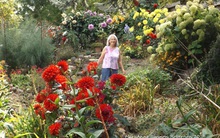 Khu vườn trồng đủ loại rau củ quả "khổng lồ" của đôi vợ chồng già