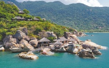 Cổ phiếu liên quan hoa hậu Ngọc Hân giảm sàn sau chuỗi 12 phiên trần, nhiều mã liên quan DNP đã hình thành mô hình cây thông sau 2 tuần tăng sốc