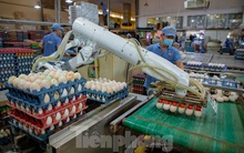 Những mặt hàng nào sẽ tăng giá từ 2/4?