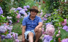 Khu vườn đẹp như cổ tích nhờ bàn tay khéo léo của người đàn ông yêu thích làm vườn