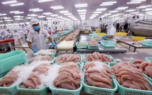 Doanh nghiệp thủy sản ‘đầy ắp’ đơn hàng đến cuối năm, đặt mục tiêu lãi kỷ lục