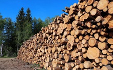 Phú Tài (PTB) đặt mục tiêu lãi trước thuế năm 2022 tăng trưởng 21% lên 790 tỷ đồng, trình phương án chia cổ tức năm 2021 tỷ lệ 45%