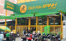 MWG thành lập công ty con "mở đường" bán vốn và niêm yết Bách Hóa Xanh