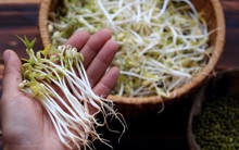 4 loại rau chứa đầy độc tố, là quả “bom hẹn giờ” mang mầm mống ung thư: Ăn chỉ thêm gánh nặng cho nội tạng, chẳng mấy gan "nát tươm"