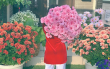 Khoảng sân vườn chưa tới 30m² giúp mẹ Việt thỏa sức trồng đủ loại rau quả sạch