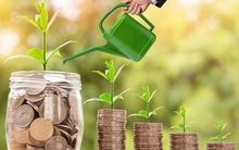 Lịch chốt quyền nhận cổ tức bằng tiền của 6 doanh nghiệp