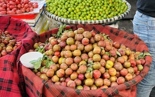 Mận hậu Sơn La đầu mùa giá "chát" vẫn hút người mua