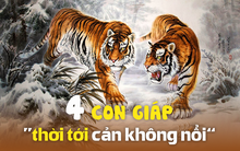 4 con giáp “thời tới cản không nổi” khi bước vào nửa sau tháng 4: Có cơ hội thoát nghèo, khối người còn giàu to