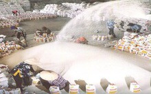 Thu phí cảng biển với doanh nghiệp xuất khẩu gạo hay “đánh” vào người nông dân trồng lúa