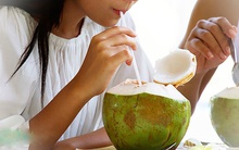 Thấy gì khi soi nước dừa khi dưới kính hiển vi và cảnh báo 1 sai lầm uống nước dừa có thể gây hại cho nội tạng