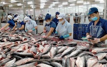 Triển vọng thuận lợi, loạt doanh nghiệp thuỷ sản đặt kế lợi nhuận 2022 tăng trưởng ba chữ số