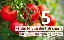 Loại quả là "CỨU TINH" phòng ung thư nhưng kết hợp 5 "kẻ thù không đội trời chung" này chỉ toàn phản tác dụng, nặng còn gây ngộ độc cấp cứu