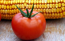 Ra chợ mua rau, người khôn ngoan không bao giờ mua 3 loại này, vừa không ngon lại còn có thể "nhiễm độc", sinh bệnh cho cơ thể