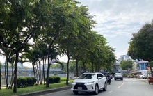 Thu phí ô tô vào trung tâm TPHCM 40.000 đồng/lượt: Có khả thi?