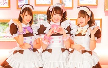 Những quán cafe hầu gái kỳ lạ tại Nhật Bản: Bước ra đời từ thế giới anime và manga, khách hàng được trải nghiệm cảm giác "chủ nhân" giữa một cuộc sống thực tại đầy bon chen, áp lực