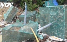 Người nuôi tôm hùm ở Phú Yên thiếu vốn tái sản xuất sau thiên tai bất thường