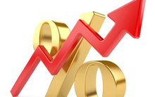 DIG, YEG, THI, TIX: Thông tin giao dịch lượng lớn cổ phiếu