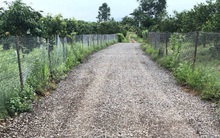 "Sốt" đất nông nghiệp, nhà đầu tư mạnh tay xuống tiền bất chấp rủi ro